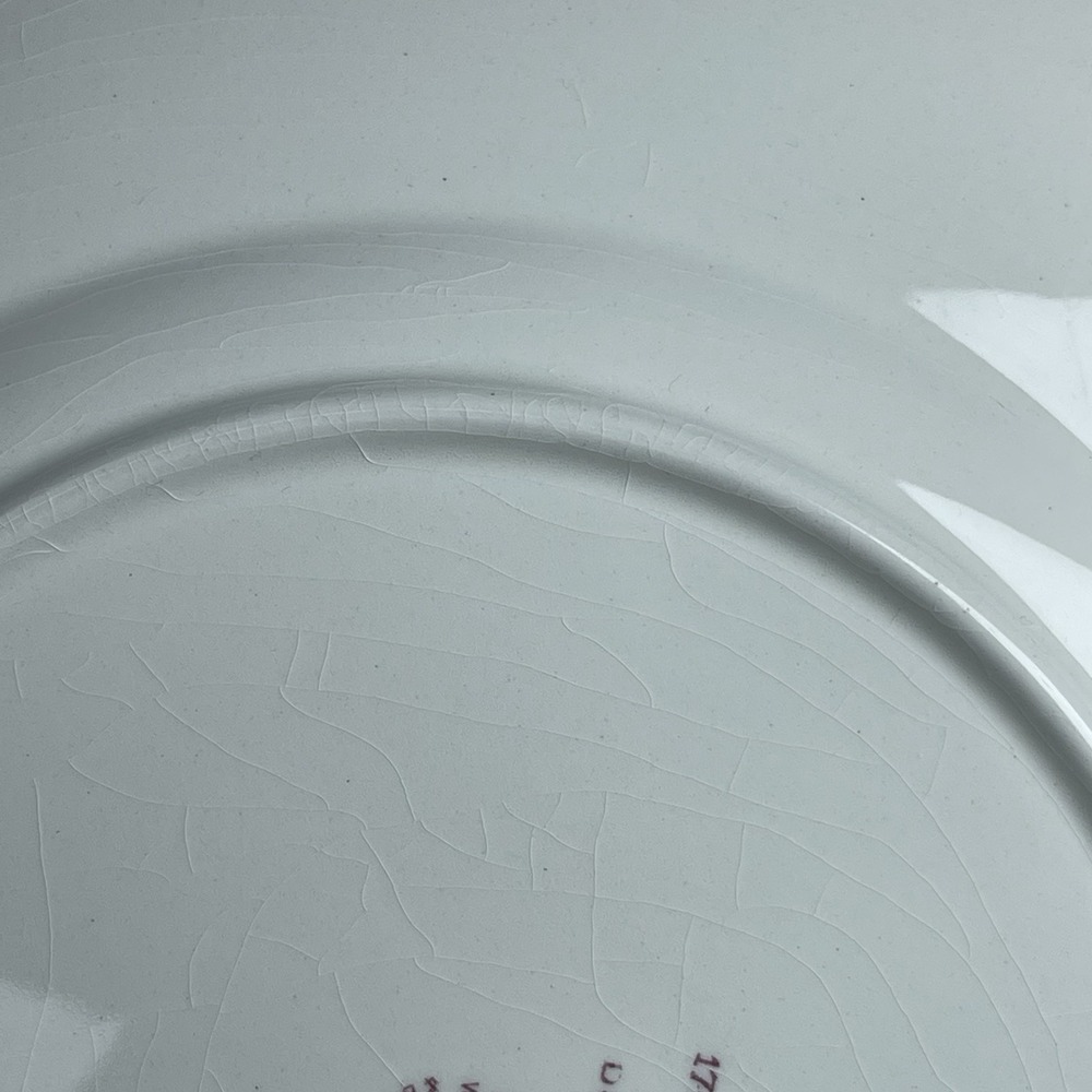 Vintage 1949 Wedgwood Washington & Lee University Doremus Gymnasium Plate 10.75" - Picture 7 of 9